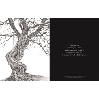 AR(T)BRES - Les arbres dans l'art