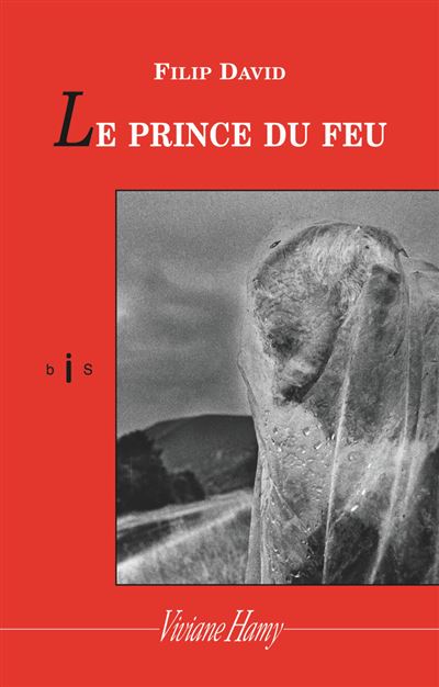 Le Prince du feu - Filip David - broché