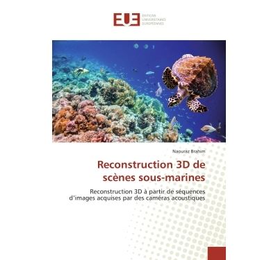 Reconstruction 3D de scènes sous-marines