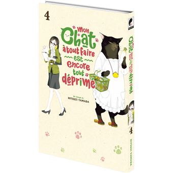 Mon chat à tout faire est encore tout déprimé