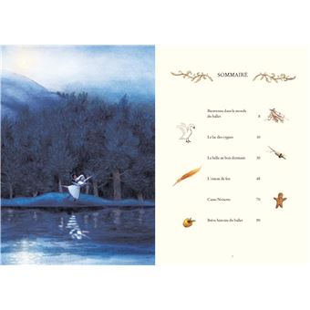 Le lac des cygnes et autres histoires de ballets