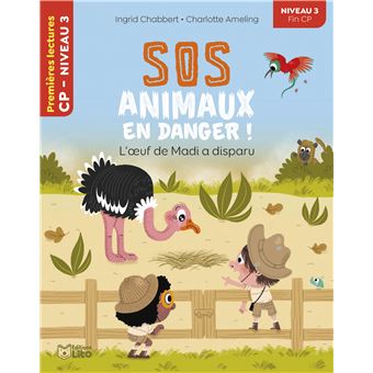 L'œuf de Madi a disparu, CP Niveau 3