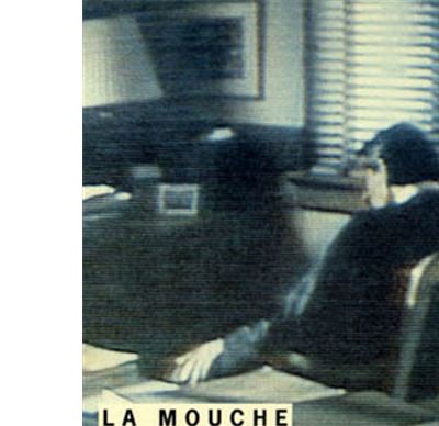 La Mouche sur le mur