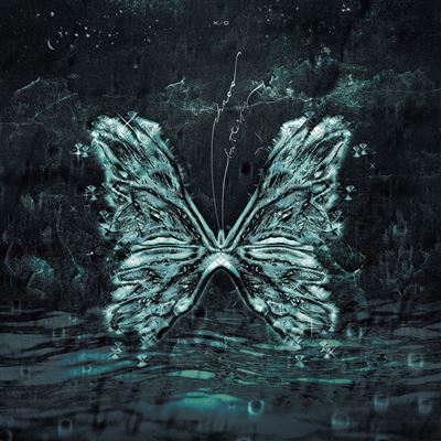 Chaos Butterfly Vinyle Coloré