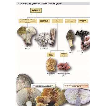 Manuel des champignons comestibles et toxiques