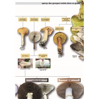Manuel des champignons comestibles et toxiques