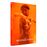 The Woman King DVD
