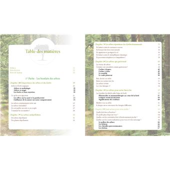 Le pouvoir caché des arbres