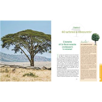 Le pouvoir caché des arbres