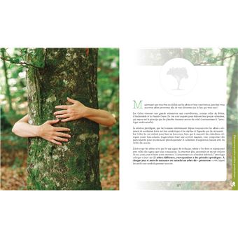 Le pouvoir caché des arbres