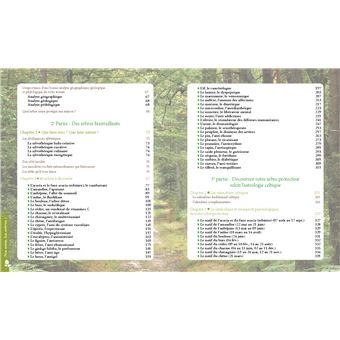 Le pouvoir caché des arbres