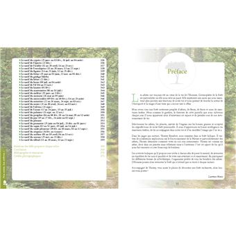 Le pouvoir caché des arbres