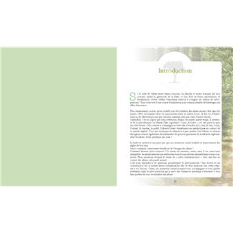 Le pouvoir caché des arbres