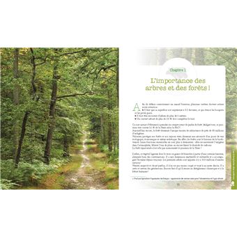 Le pouvoir caché des arbres