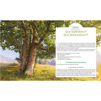 Le pouvoir caché des arbres