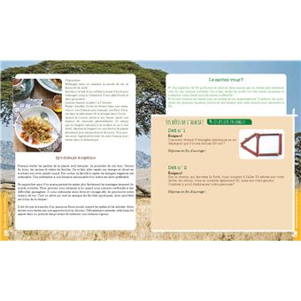 Le pouvoir caché des arbres