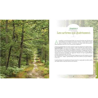 Le pouvoir caché des arbres