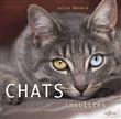 Chats, portraits insolites
