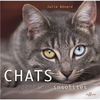 Chats, portraits insolites