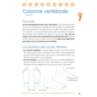 Réflexologie