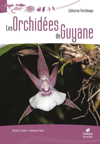 Les Orchidées de Guyane - Aurélien Sambin - relié