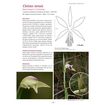 Les Orchidées de Guyane