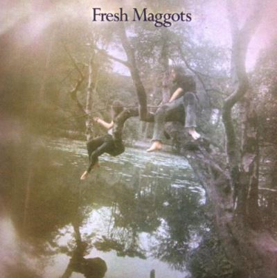 Fresh Maggots hatched