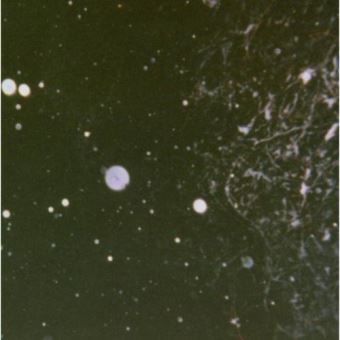 Azrael-Through Horned Shadows - 1