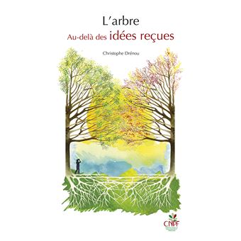L'arbre Au-delà des idées reçues