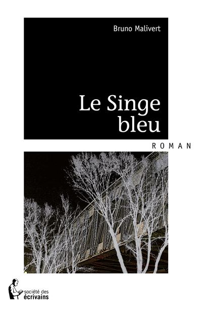 Le singe bleu
