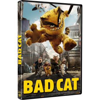 Картинка bad cat