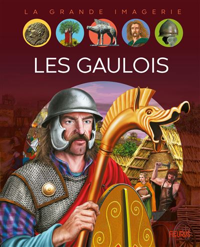 Les gaulois - Stéphanie Redoulès - cartonné