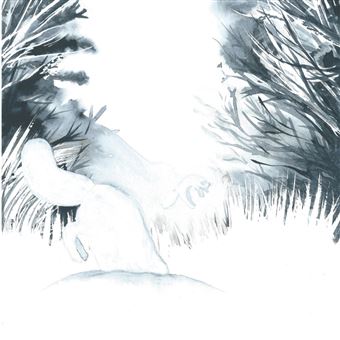 Isatis le renard de la toundra