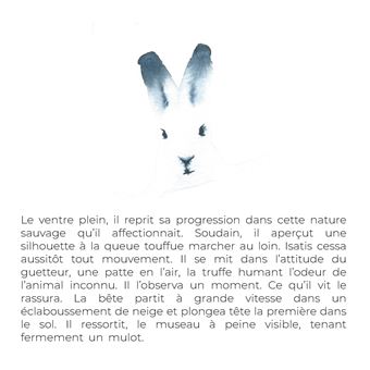 Isatis le renard de la toundra