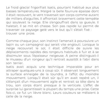 Isatis le renard de la toundra