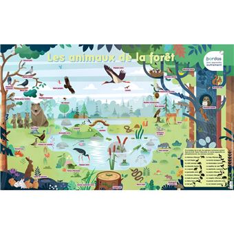 Les Posters Phosphorescents - Les Animaux de la forêt