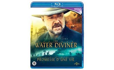 Water Diviner
