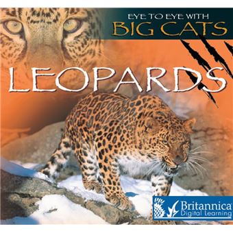 Leopards - 1
