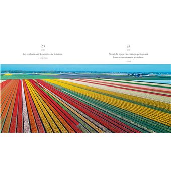 365 pensées pour renaître au quotidien