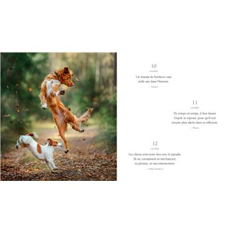 365 pensées pour renaître au quotidien