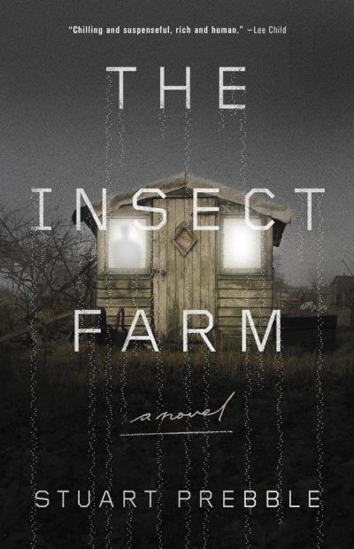 INSECT FARM