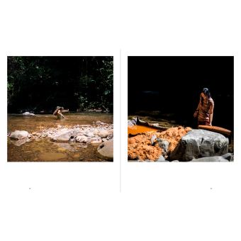 Lettre à Bruno Manser