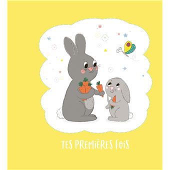 Bienvenue bébé ! Le livre de ta naissance