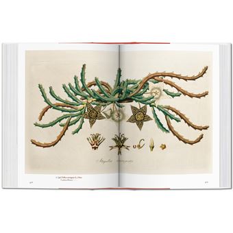 A Garden Eden. Masterpieces of Botanical Illustration. 40th Ed.