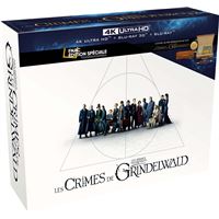 Les Animaux Fantastiques 2 Les Crimes De Grindelwald Dvd