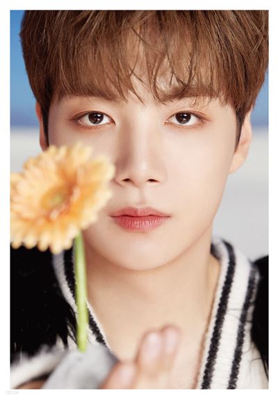 Dicon D'festa Nu'est Jr