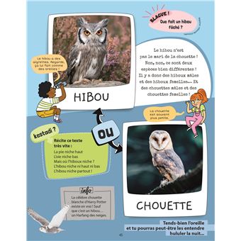 Je sais reconnaître les oiseaux