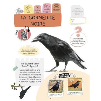 Je sais reconnaître les oiseaux
