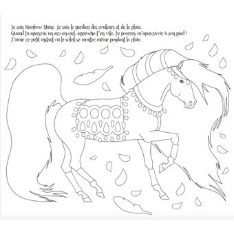 Mon coffret paillettes - Chevaux