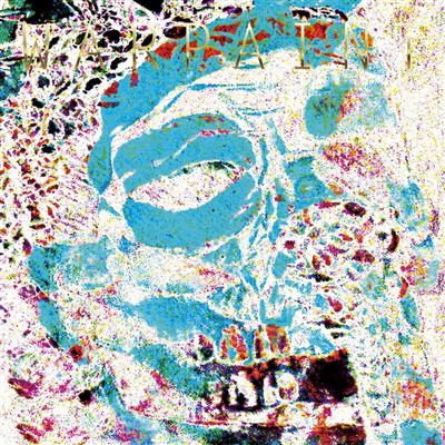 The Fool Andrew Weatherall Remixes Vinyle Coloré